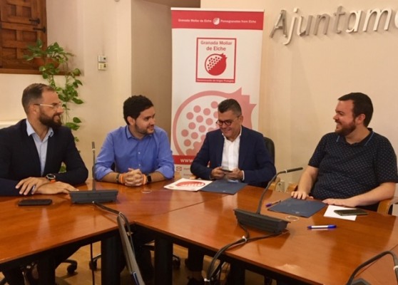 Elche aporta 30.000 euros para apoyar a la Denominación de Origen de la Granada Mollar