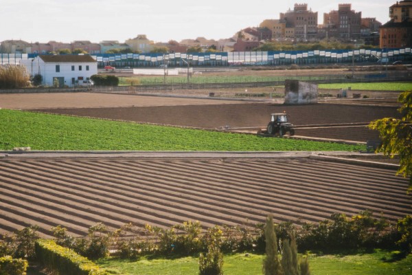 Un poco tarde para el campo valenciano… 