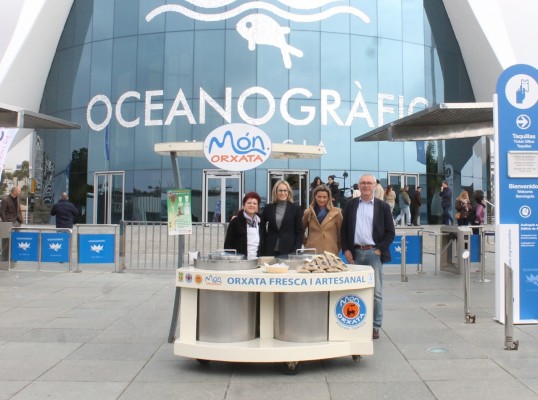 La horchata de Valencia, artesana y ecológica se podra beber en el nuevo Oceanografic 