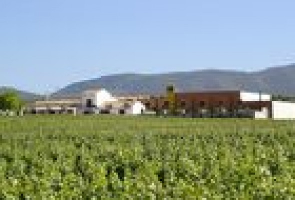 Vegalfaro, Musitiguillo i Hispano Suizas posen en marxa l'Enoplan