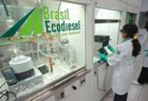 La salida de Bañuelos del consejo de Vanguarda Agro llega en mínimos históricos