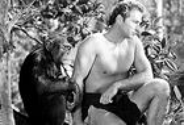 Muere Chita, el mono de Tarzán