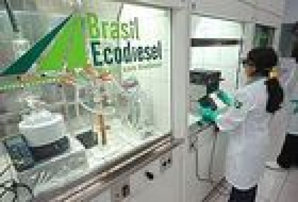 La incursión bursátil de Enrique Bañuelos en Brasil se traduce en fuertes pérdidas