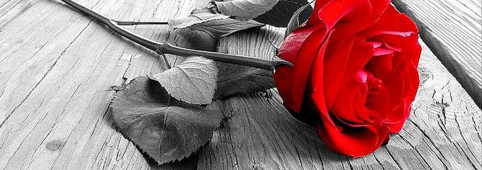 <em>Más allá de los intereses orgánicos</em>