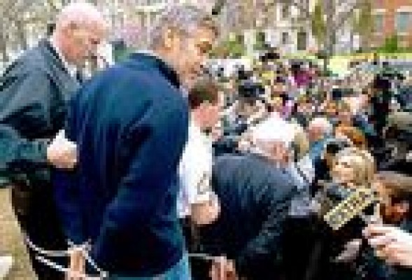 El descendiente (George Clooney)