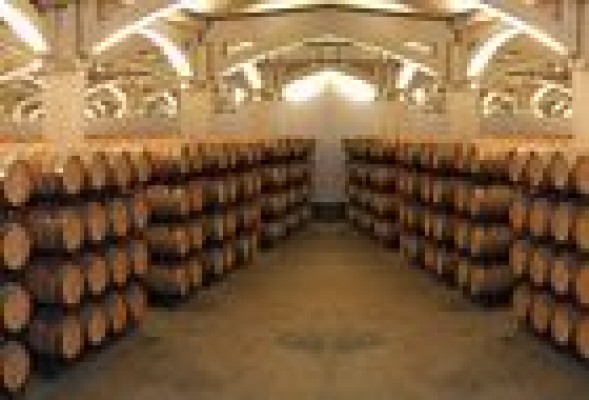 Bodegas Gandía aumenta sus ventas un 6% con sus vinos 'premium'