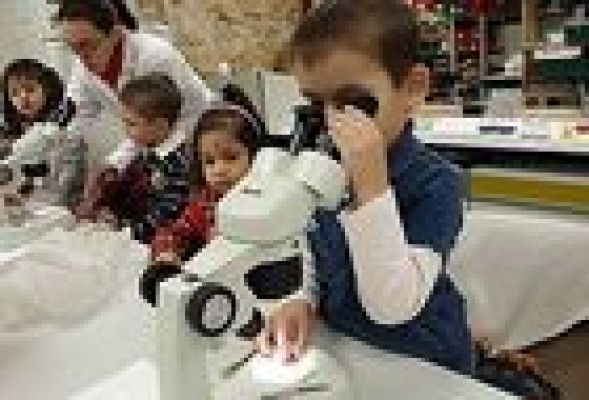 Educación, I+D+i, vivienda y Exteriores, entre las políticas más afectadas por los recortes