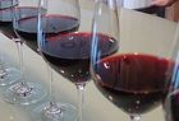 Cuatro verdades como puños sobre vinos que andan por la calle