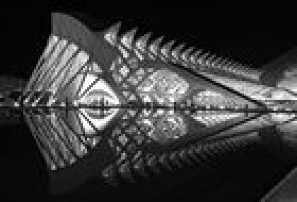 Ciudad de las Artes saca a licitación por 607.000 euros la conservación arquitectónica del complejo