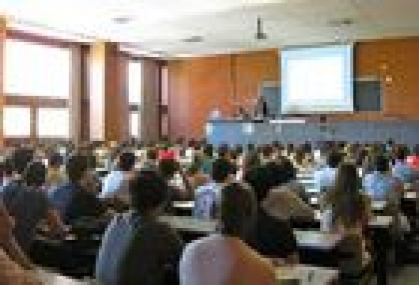 Más de 200 universitarios pasaron un día con un bróker