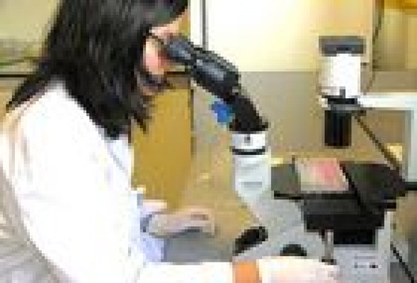 Científicos americanos descubren cómo generar electricidad a partir de virus