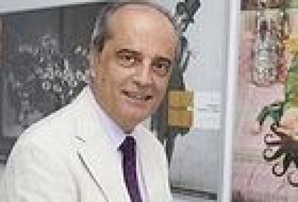 Las empresas del marketing valenciano celebran su gran noche