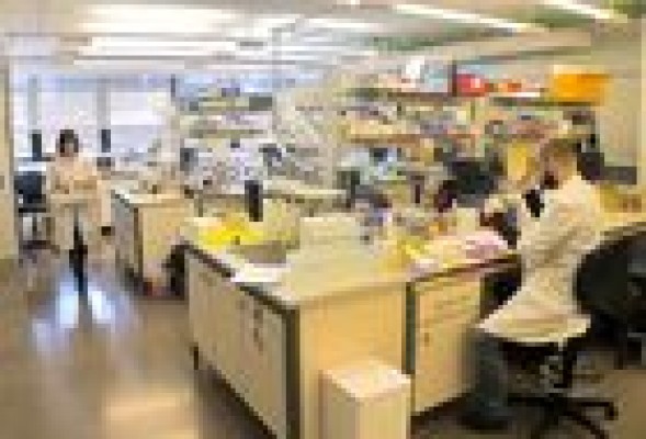 Valentia Biopharma, hacer empresa con todo un claustro universitario a su disposición