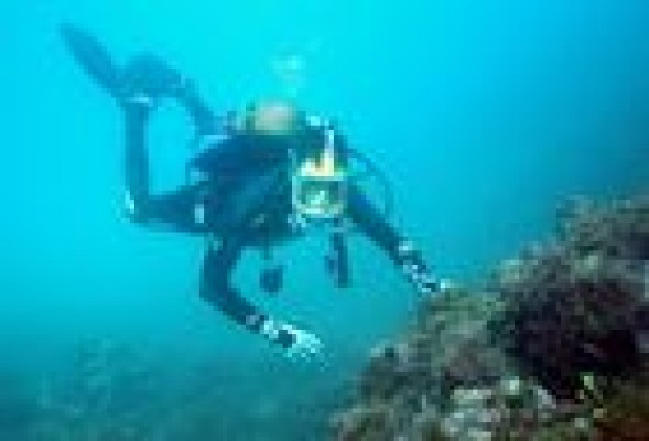 Oceansnell, una empresa con los pies en la tierra para defender la salud del mar