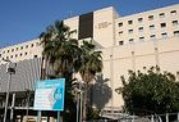 El Consell entrega a consultores y abogados la reforma de la Generalitat