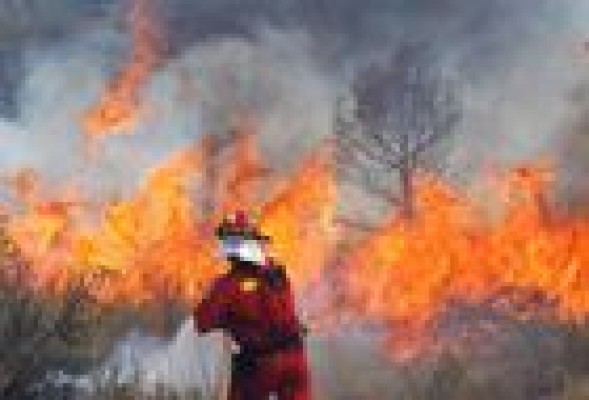 Por qué una chispa terminó por arrasar 50.000 hectáreas de bosque en Valencia