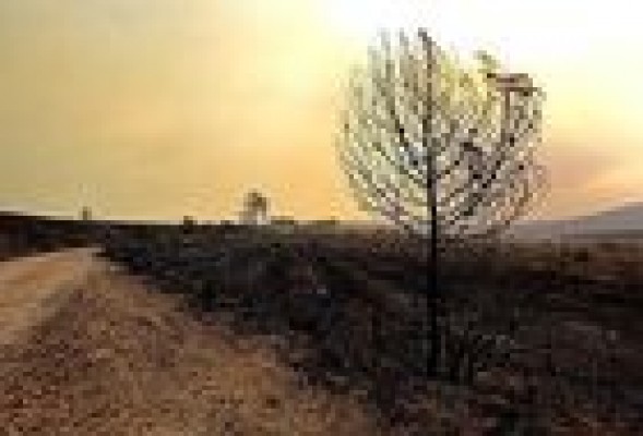 El Consell destina nueve millones de euros para los afectados por los incendios en Valencia