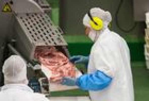 La empresa cárnica Martínez Loriente desarrolla un proceso para aumentar la terneza del vacuno