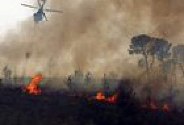 Estudian la cobertura que se hizo en Twitter de los incendios de Cortés de Pallás y Andilla