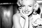 Marilyn Monroe en la Filmoteca d'Estiu