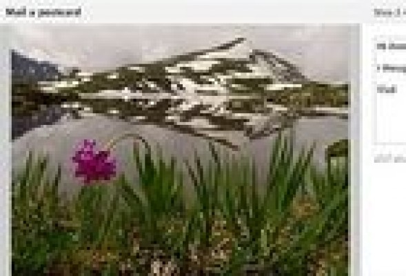 Facebook prueba un servicio de envío de postales físicas