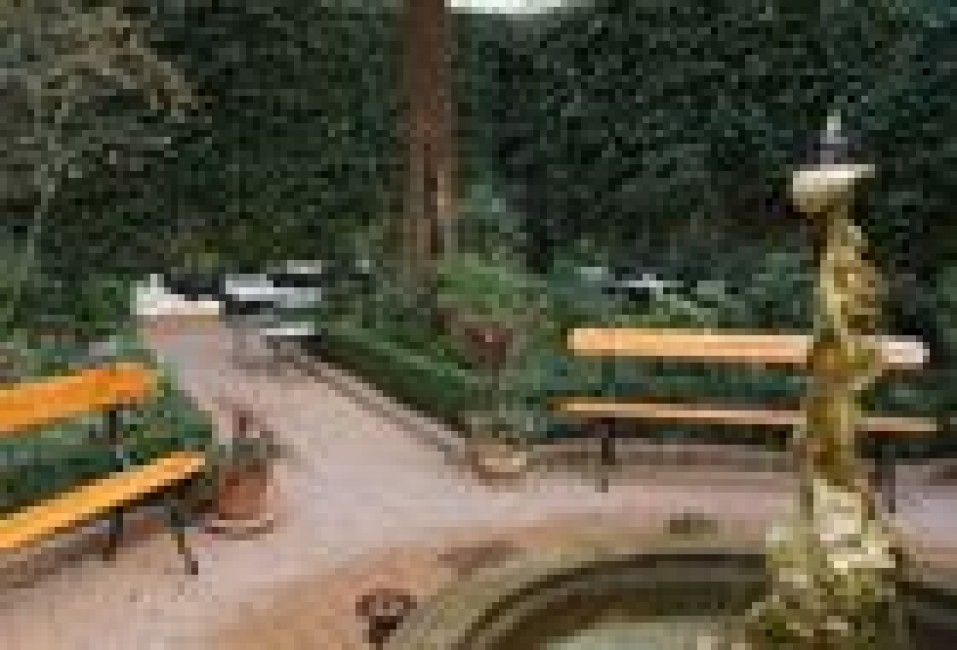 Café Jardín - 