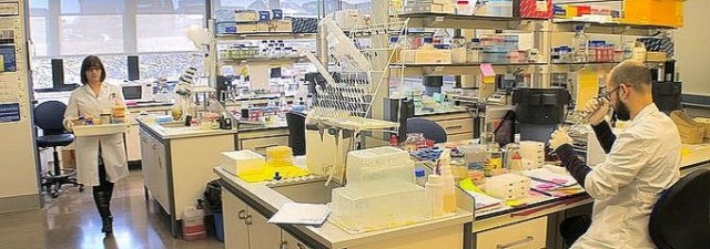 Una empresa valenciana prevé lanzar un fármaco contra la Distrofia Muscular Miotónica