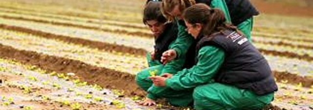 La Obra Social 