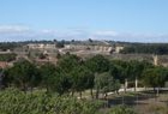 Paterna, zona franca