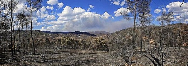 El PSPV urge a Fabra a exigir las ayudas del Estado prometidas tras los incendios