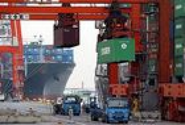 <strong>Exportadores por obligación</strong>