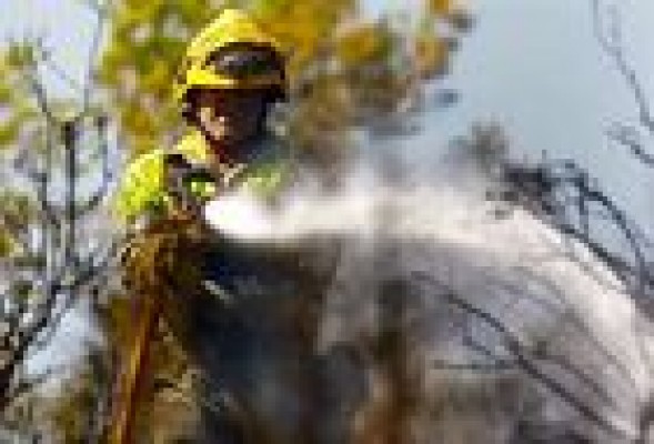 El recorte en medios contraincendios endurecen uno de los peores años forestales de la historia valenciana