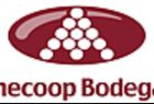 Anecoop Bodegas se alza con cuatro medallas de oro y ocho de plata en el Concurso AWC de Viena
