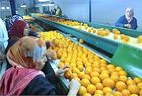 Tecnidex proyecta abrir filiales en Turquía, Perú y Sudáfrica