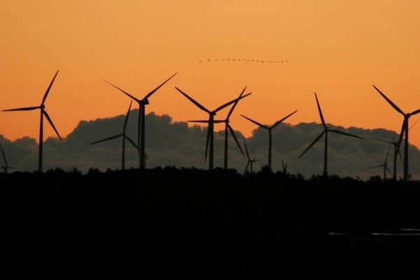 Audax Renovables inscribe en el Registro Mercantil la escritura de fusión de Audax Energía