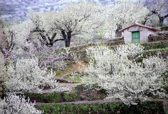 La primavera será más cálida de lo normal, tras el segundo invierno más caluroso en 55 años