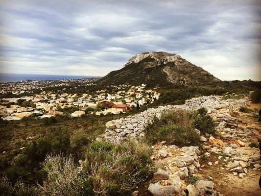 El vell Montgó