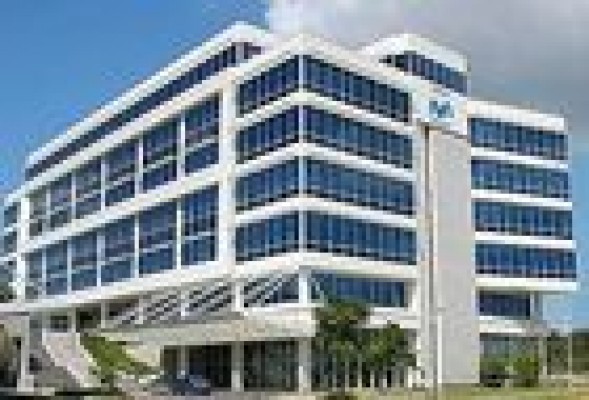 Telefónica sigue deshojando la margarita para ver si saca a bolsa su negocio en Latinoamérica