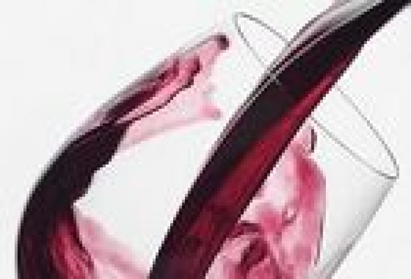 Más de 40 vinos de la DO Valencia reciben la calificación de excelente en la Guía Peñín