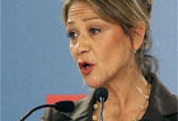<strong>OPOSICIÓN</strong><br />El PSOE pedirá explicaciones por la 