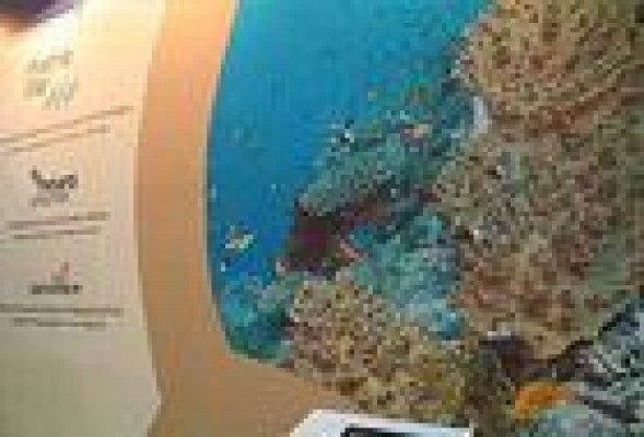 Zeltia, atrapada en bolsa en los 1,25 euros