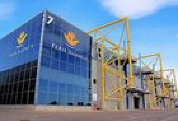 Feria Valencia alquila un pabellón antiguo por un millón de euros al año
