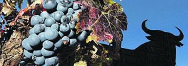 Las exportaciones de vino aumentan un 21% en la Comunitat de enero a septiembre