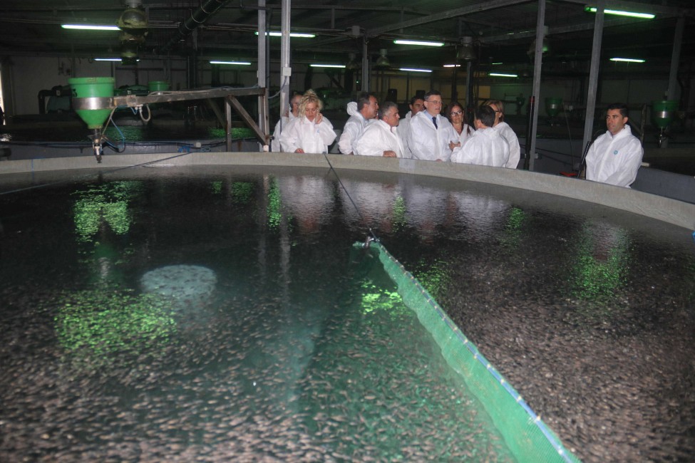 Las instalaciones de Piscimar en Burriana. (FOTO: JAVIER MARTÍ) - 