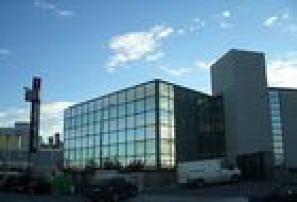 España tiene más de 4.000 empresas de alto crecimiento y 740 'gacelas'