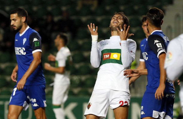 Naufragio franjiverde