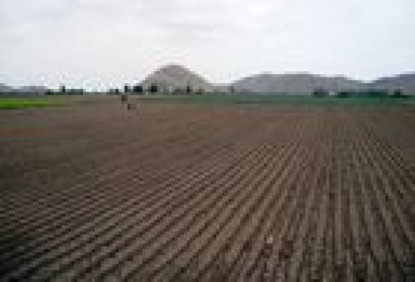 AGRICULTURA<br /><strong>El Ejecutivo actualiza la normativa de pagos directos de la PAC</strong>