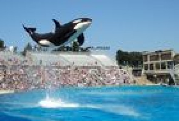 Orcas, la baza de Parques Reunidos para pujar por la gestión de Cacsa