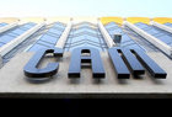 Una exmiembro de la comisión de control de CAM carga contra el IVF