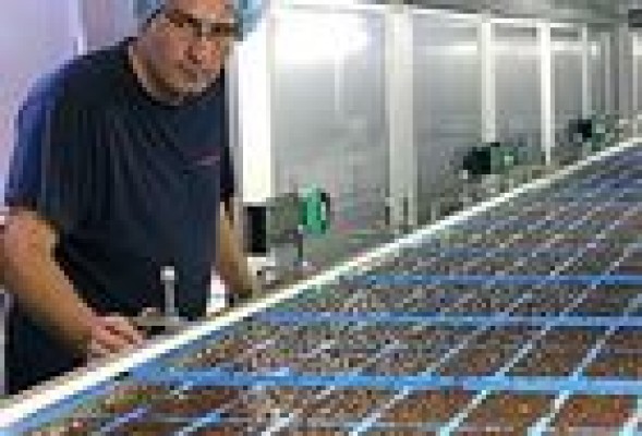Antiu Xixona cierra 2012 con un incremento del 29% de facturación gracias Mercadona